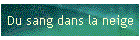 Du sang dans la neige