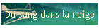 Du sang dans la neige